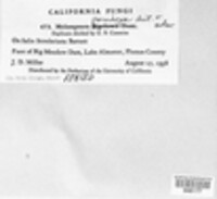 Image Associated With the Occurence